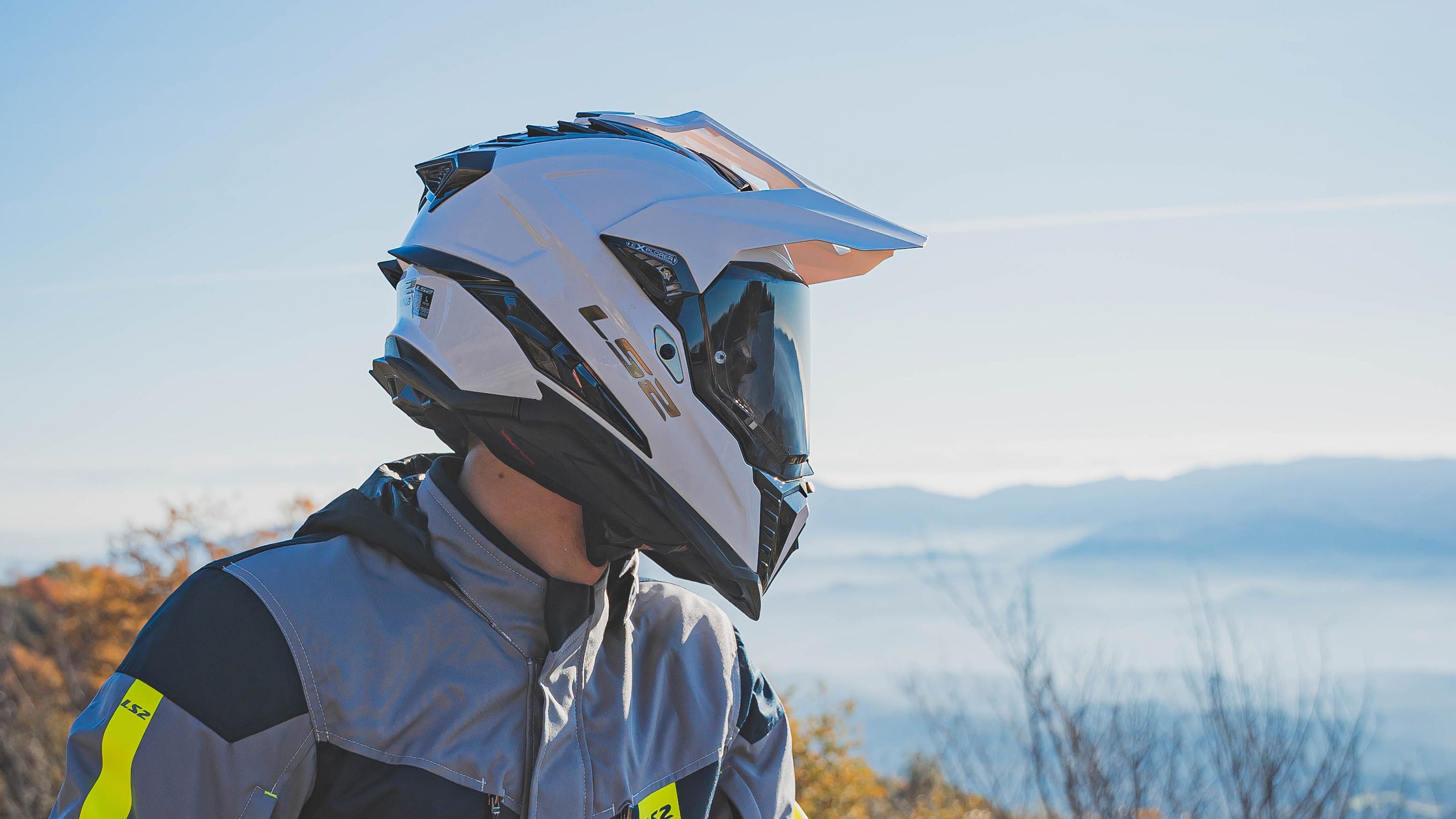 Visors
